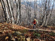 20 Il sentiero finisce, saliamo per il ripido bosco ...